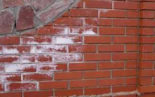 Высолы на кирпиче