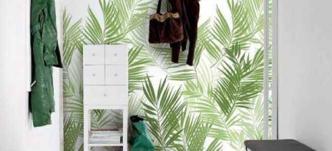 Выбор обоев для прихожей