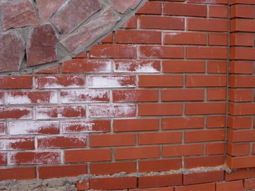 Высолы на кирпиче